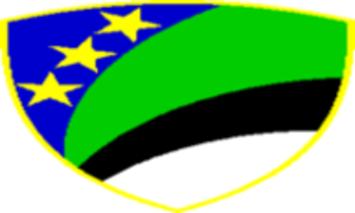 SAOPĆENJE  povodom Međunarodnog dana socijalnog rada