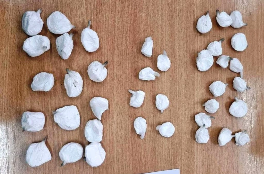 Pronađena opojna droga, licu iz Gradačca oduzeta sloboda - predat u nadležnost Tužilaštva